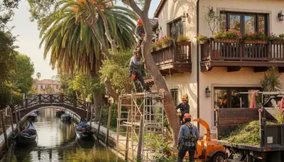Tree service crew in Sarasota, FL trimming and removing a tree for a residential property
